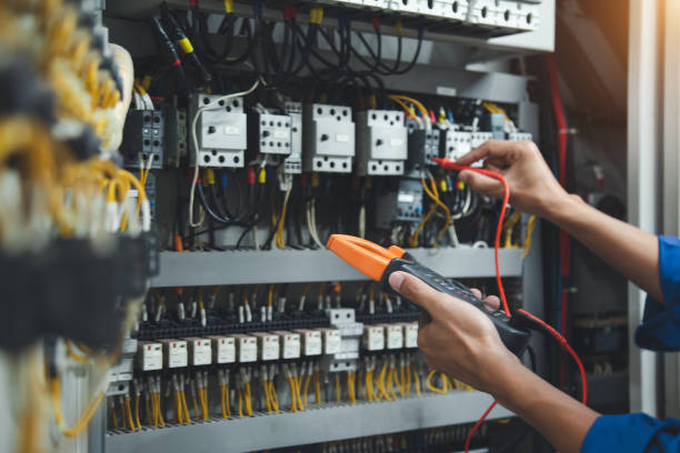 Best Electric Panel Repair  in Muleshoe, TX